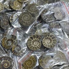 50 Pairs of Split Ammonite crystal Specimen Shell Healing Madagascar picture