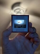 Kodak Kodakchrome Slide Of Military Airplane W/Cargo And Bombs picture