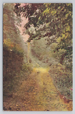 The Old Road Illinois c1907 Antique Postcard picture
