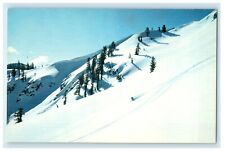 c1960's Lake Tahoe CA, Down He Comes At Squaw Valley Winter Olympic Postcard picture