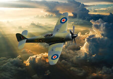 Hawker Sea fury  dramatic sky canvas prints various sizes free delivery  picture