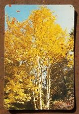 Aeroflot Soviet Airlines 1988 Pocket Calendar USSR. Golden autumn picture