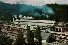 Vintage Pacific Lumber Sawmill Company in Scotia California Postcard picture