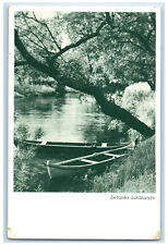 c1950's The Upper Reaches of the Sesupe Lithuania Vintage Unposted Postcard picture