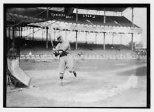 Pinch Thomas,Boston AL,baseball,Chester David Thomas,1916,Catcher,MLB,sports 1 picture