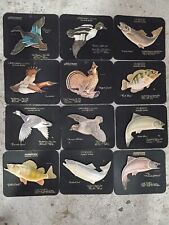 Evinrude And Johnson Sea-Horse Motors Cards Set Of 12 picture
