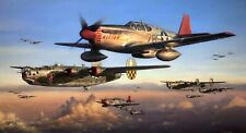 Safe Passage Home by John Shaw P-51 signed by Tuskegee Pilot Charles McGee picture