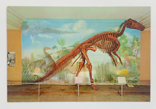 Duck-billed Dinosaur Denver Museum of Natural History City Park CO Postcard picture