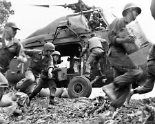 UH-34 Choctaw Helicopter Photograph South Vietnam USMC 1964 8X10 Photo Print picture