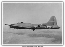 Boeing B-17 Flying Fortress Aircraft picture