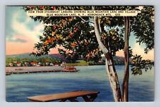 Blue Mountain Lake NY- New York, Steamboat, Blue Mountain Lake, Vintage Postcard picture