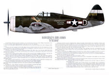 P-47, Autographed by Thunderbolt Ace, Gerald Johnson, Artist Ernie Boyette picture