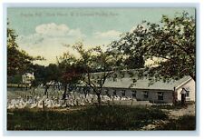1911 Angola New York NY, Duck House W. J. Conners Poultry Farm Antique Postcard picture