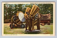 US Army Signal Corps, Airplane Listening Post, Searchlights, Vintage Postcard picture