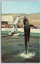 Postcard Marineland of the Pacific Palos Verde CA Bubbles Dolphin picture