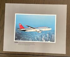 Vintage 1990s Northwest Airlines Boeing Airbus A320 N302US Jet Print #2 picture