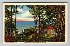 Lake Sunapee NH-New Hampshire, Near Lake Avenue, Antique, Vintage Postcard picture
