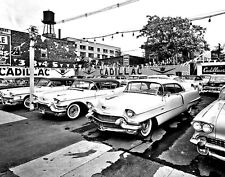 1950s CADILLACS on Dealership Parking LOT Classic Car Poster Photo 11x17 picture