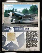 P-47 Razorback Thunderbolt Relic Display picture