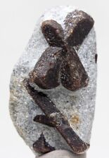 STAUROLITE Crystal Cluster Mineral Specimen Fairy Cross KEIVY RUSSIA picture