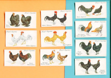 1931 JOHN PLAYER AND SONS CIGARETTES POULTRY 10 DIFFERENT TOBACCO CARD LOT picture
