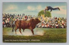 Postcard Pancho Villa Tossed by Wild Brahma Bull E. Ranch Rodeo c1943 picture