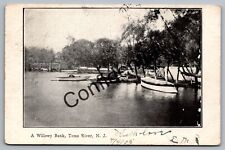 1905 View Of a Willowy River Bank Toms River NJ Ocean County New Jersey K289 picture
