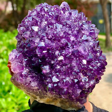 1.08LB Very Rare Natural Amethyst Flower Cluster Specimen Healing picture