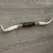 Western Americana Steer Horn Large Rustic Studded Longhorn Wall Decor Resin picture