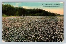 WI-Wisconsin, Clover Field, Scene Along A Country Road, c1915 Vintage Postcard picture