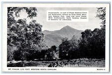 c1940's Hendersonville Mt. Pisgah Western North Carolina NC Postcard picture