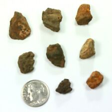 8 Northwest Africa NWA Meteorites 16.80 g Exact Collection  st6781 picture