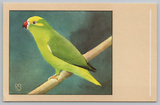 Tui Parakeet Bird P. Sluis Series 7 No 77 Vtg 1960 Postcard C12 picture