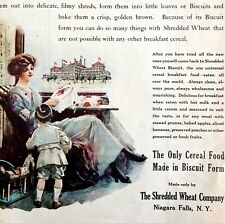 Shredded Wheat Cereal Biscuit 1913 Advertisement Niagara Falls NY DWII5 picture