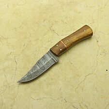 Unleash the Beauty, Handmade  Damascus Steel Knife Artistic  Rosewood Handle EDC picture