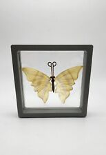 Yellow Flourite Mini Butterfly Wings, Hand Carved Wings, Floating Frame  picture