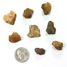 8 Northwest Africa NWA Meteorites 16.30 g Exact Collection  st6780 picture