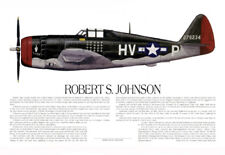 P-47, signed by Thunderbolt Ace, Robert Johnson, Artist Ernie Boyette picture
