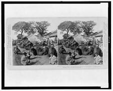 Reproduction,China's Common Carrier,Camel Square,Peking,China,Transportation picture
