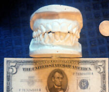 RARE Vintage Genuine HUMAN Tooth Upper & Lower Anatomical Dental Mold Casting picture