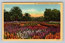 CA-California, Southern California Garden Vintage Souvenir Postcard picture