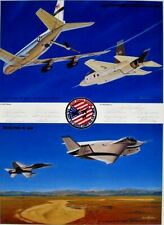 Joint Strike Fighter  X-35 [F-35] A/P Signed ALL 13 Test Pilots - RAAF No. 2 OCU picture