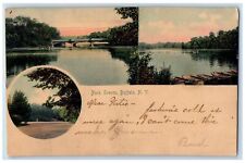 1907 Park Scenes Lake Bridge Boats Dock Forest Buffalo New York NY Postcard picture
