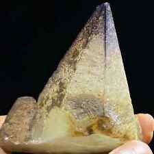 321g Natural Brown Dog Tooth Calcite & Yttrium Fluorite Crystal Mineral Specimen picture