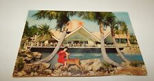 Vintage 1960's Postcard - Busch Gardens Tampa Florida picture