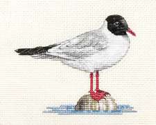 BLACK HEADED GULL  Bird  Seagull - Counted cross stitch kit sewing FIDO STITCH picture