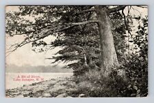 Lake Sunapee NH-New Hampshire, Scenic View Bit of Shore, Vintage c1912 Postcard picture