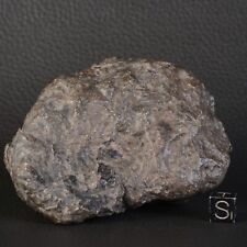Meteorite Jikharra 001 Of 378,42 G Achondrite Eucrite Melt Breccia Hed #D82.1-13 picture