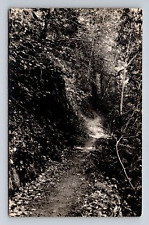 1918-1930 AZO RPPC Postcard Mysterious Wooded Path Trail to Van Zanths Unknown picture