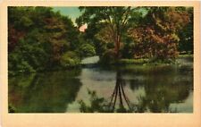 Vintage Postcard- River picture